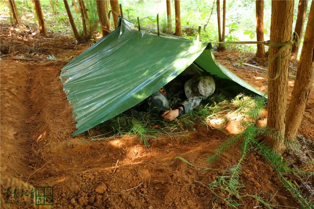 必备野外生存技能赶紧收藏军营老司机第29期