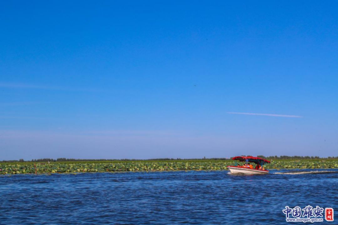 中国雄安官网记者王京卓摄