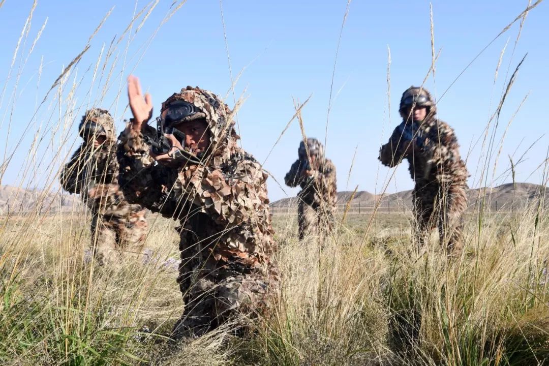 今天侦察兵带你游山玩水