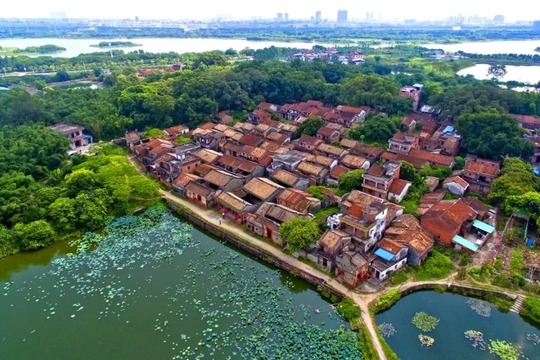 东莞茶山南社古村等你来,多项活动好看,好玩丨实用贴