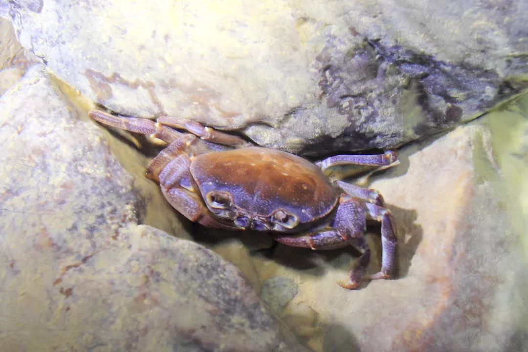 为什么说真实的广西是我们的一个盲点