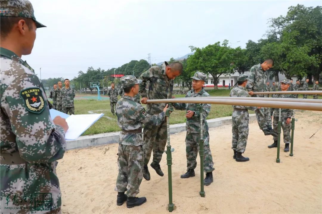 南部战区陆军某基地新兵新训结业|新兵|训练|结业_新浪军事_新浪网
