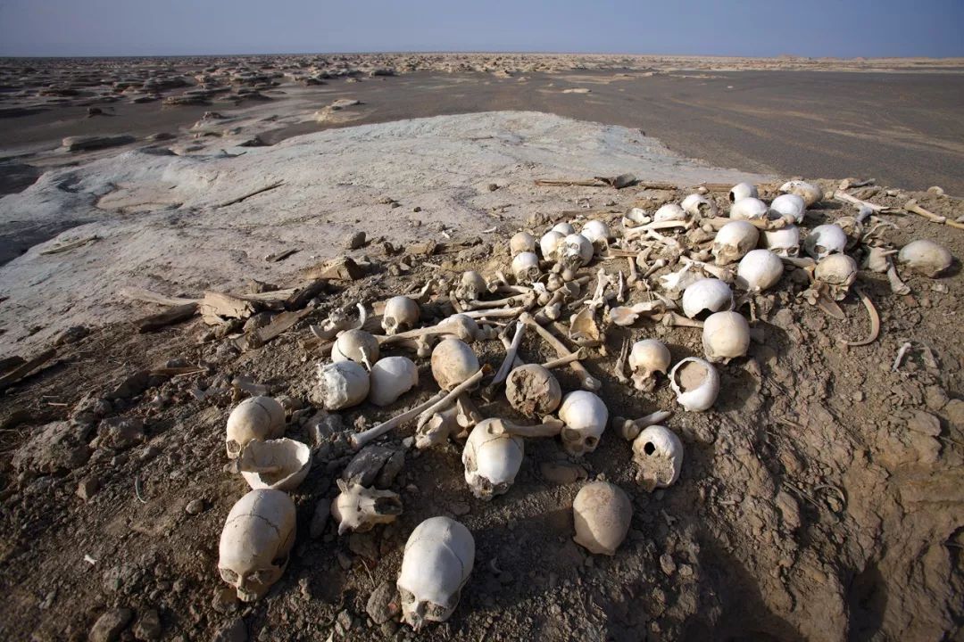 罗布泊变迁记干涸成地球巨耳近年因调水湖面逐渐恢复