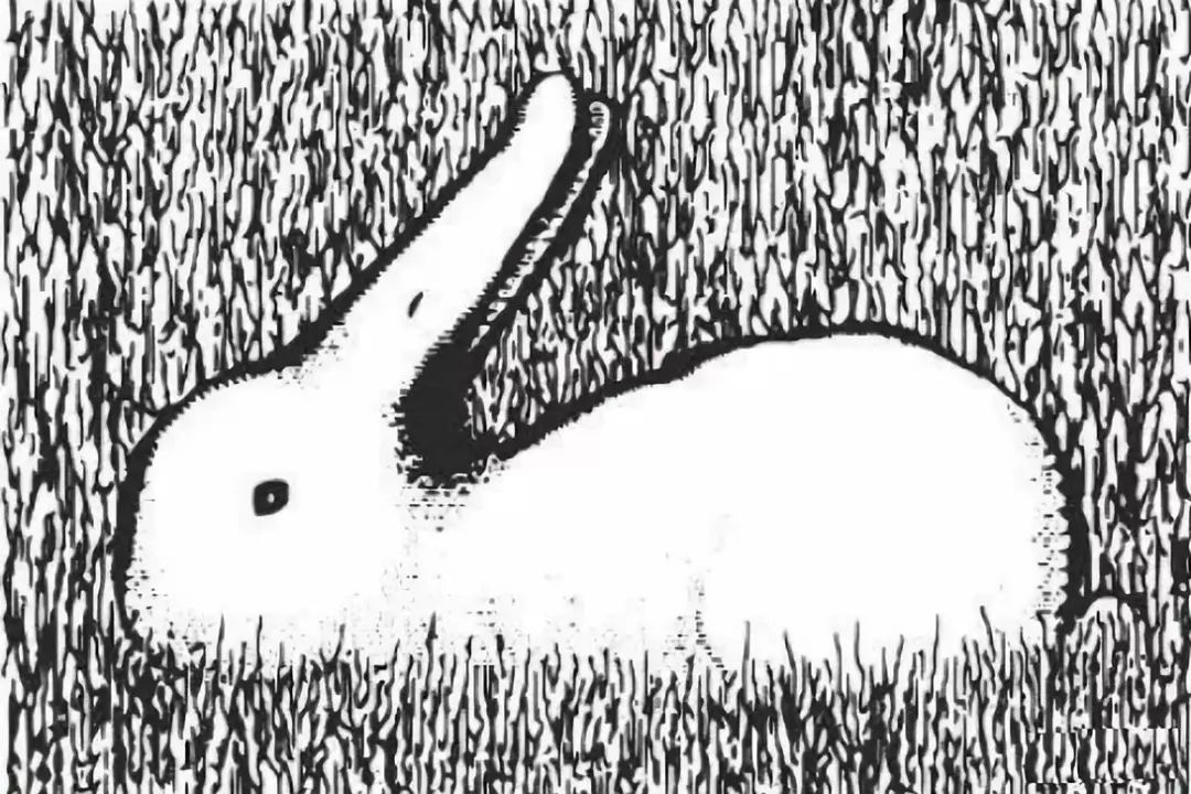 是鸭还是兔百年老图难倒谷歌ai