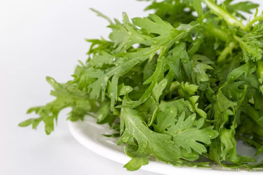 野菜|苦菜|面条菜_新浪新闻