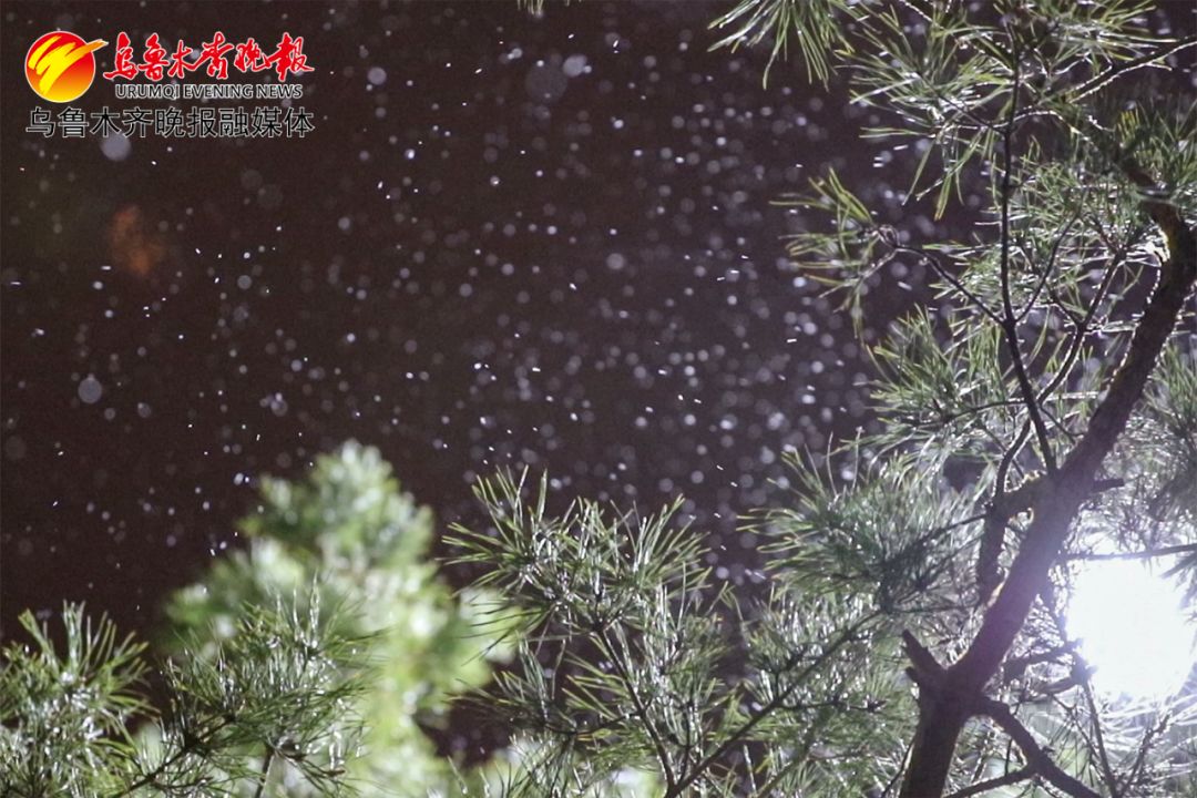 视频图片丨乌鲁木齐的第一场春雨她一点也不羞涩