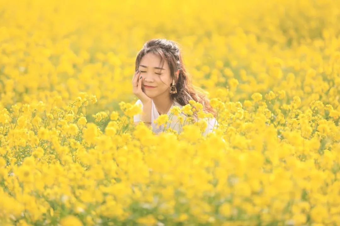 约起来!沧州最美油菜花海火了!就在我们身边.