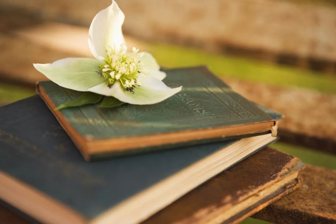 世界读书日最美不过书香气