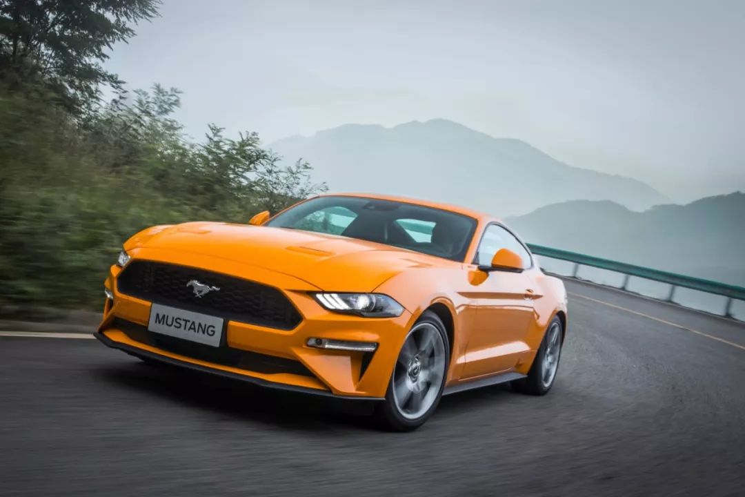 爱上这匹mustang,哪里都能找到草原