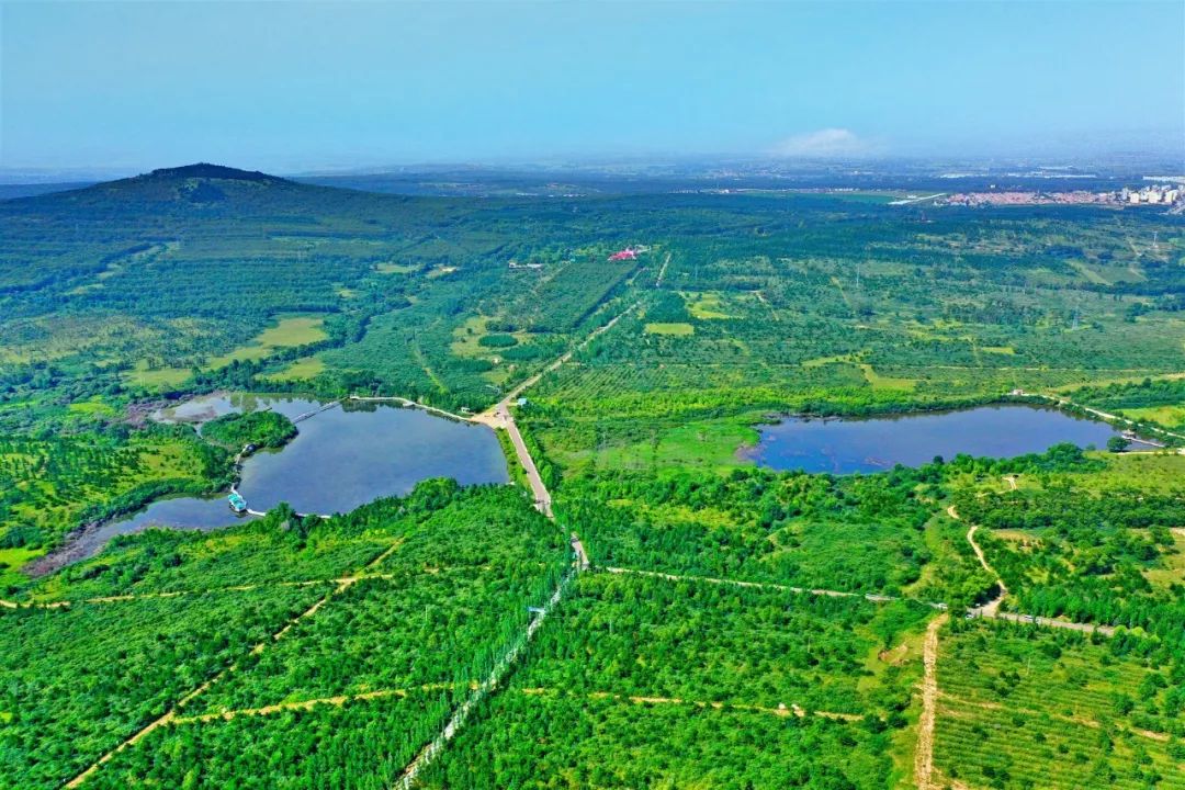 (右玉县小南山森林公园,冯晓光摄)一汽车启动的时候,已近傍晚.
