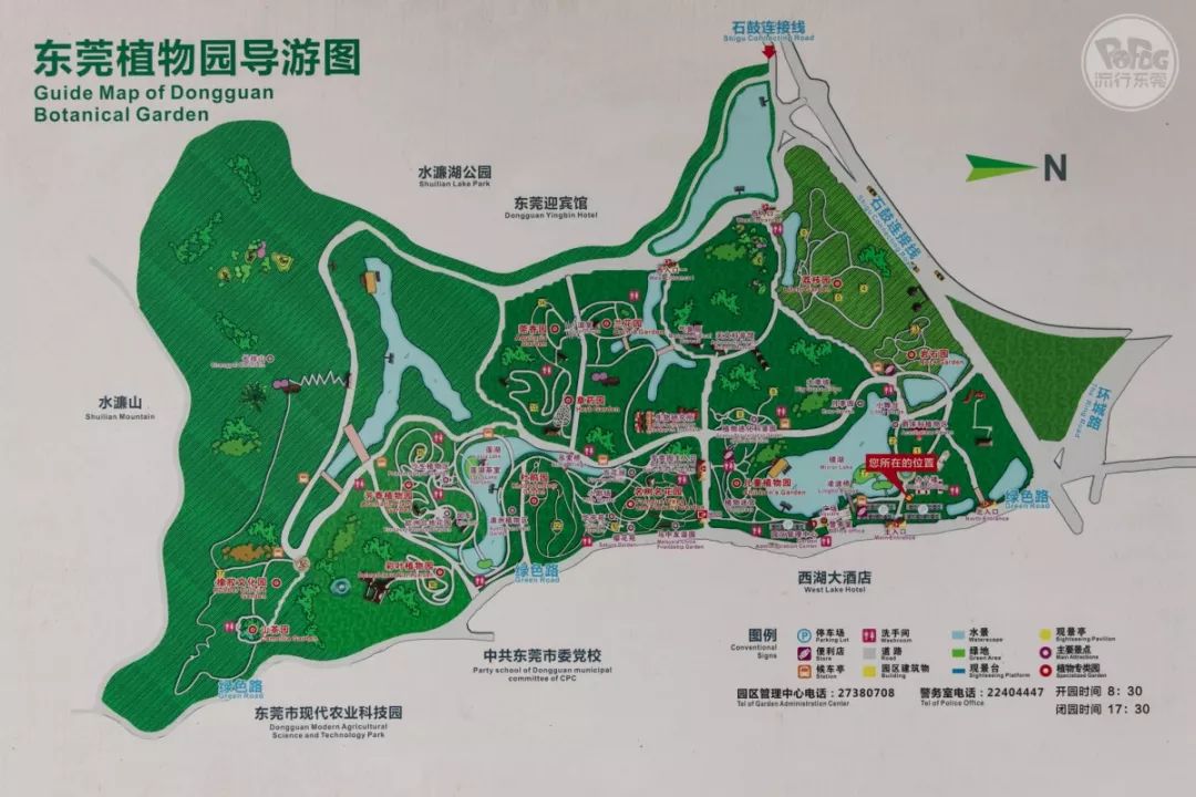 超美!东莞植物园已经变成这个样子了!赶紧去打卡