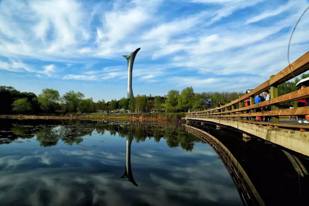 明日九九重阳节,登高赏菊看极光,沈阳市植物园(沈阳世博园)优惠大放送