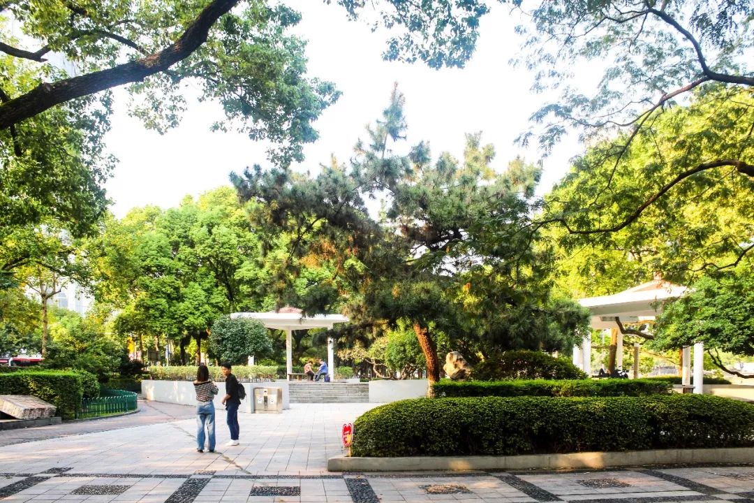 江厦公园,一个被遗忘的地方