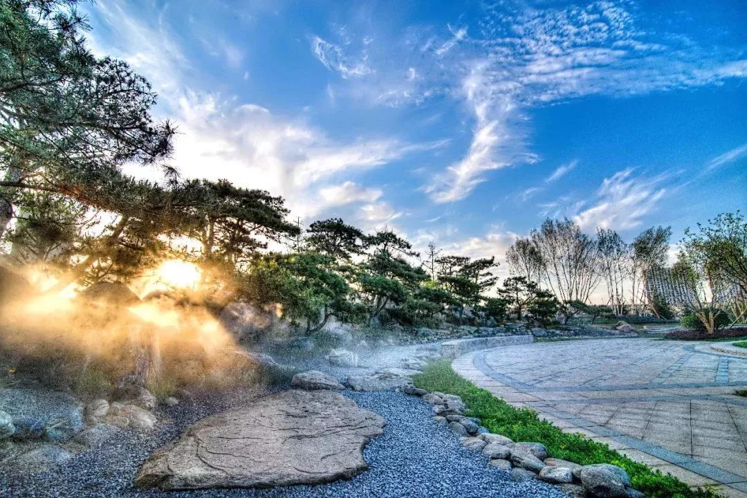 疯狂的量子自杀是怎么回事？...