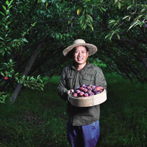 陆其华:水果活化石从嘉兴播种全国