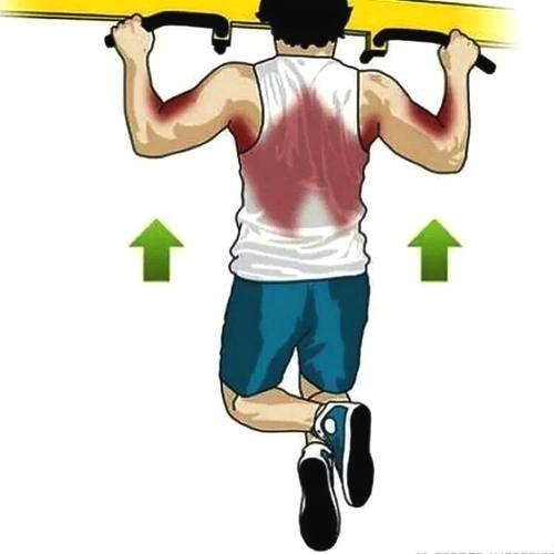 经典动作,帮你改善不良体态,塑造倒三角身材|哑铃|杠铃|背阔肌_新浪网