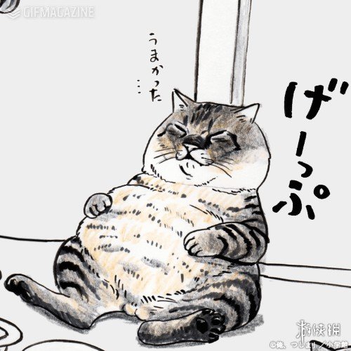 推特人气漫画猫咪 つしま 现实真的存在 本体也超霸气 新浪游戏 手机新浪网