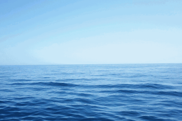 眼下最应景的当然是飘洋过海 登上来自未来的游轮—— 「海洋量子号」