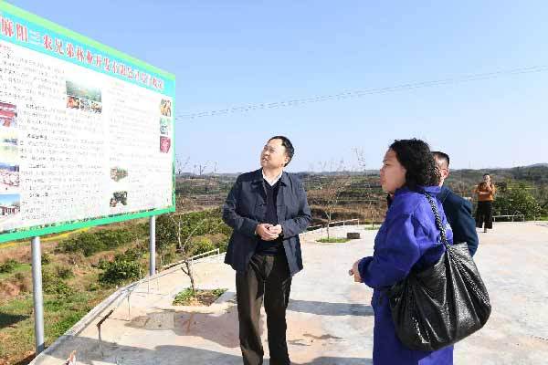 湖南麻阳全力打造乡村振兴战略