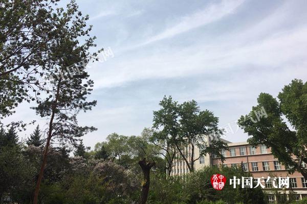 黑龙江多地明后天迎中到大雨 哈尔滨绥化等地