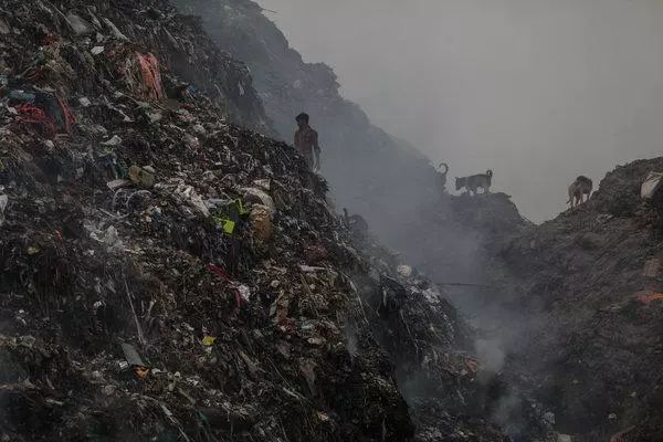 印度首都垃圾山17层楼高 绝望居民求助无门:我还能活多久?