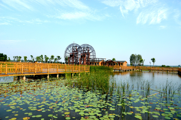 位山湿地公园夏日风景美如画