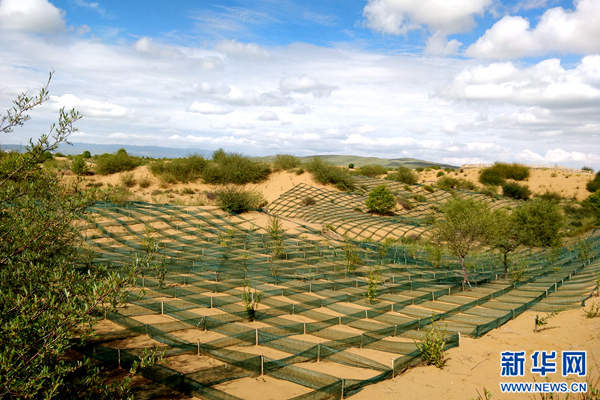 青海贵南:黄沙头筑牢沙漠绿色长城|青海|黄沙|贵南县_新浪新闻