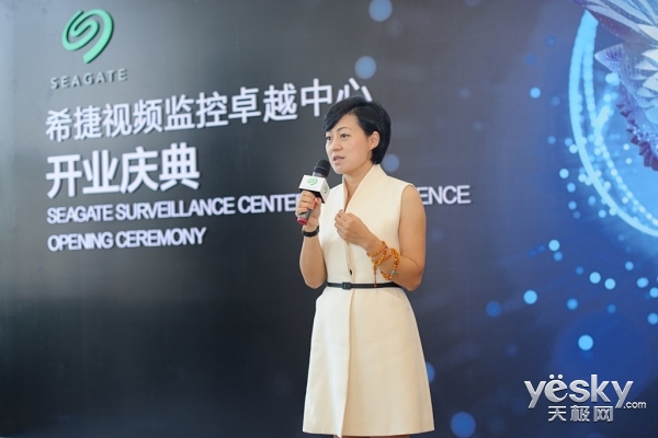 希捷科技全球副总裁暨中国区总裁孙丹女士伴随着大数据,移动云联网,云