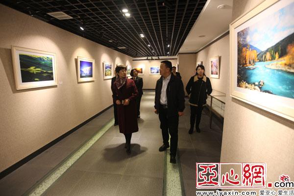 乌鲁木齐新市区法院第一党支部组织开展主题