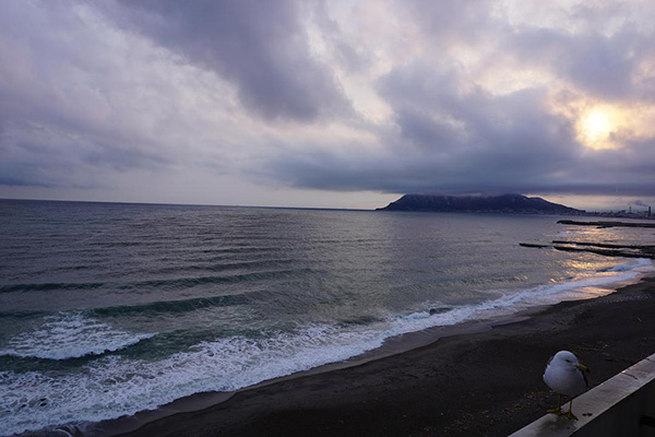 在函馆,在津轻海峡的风里