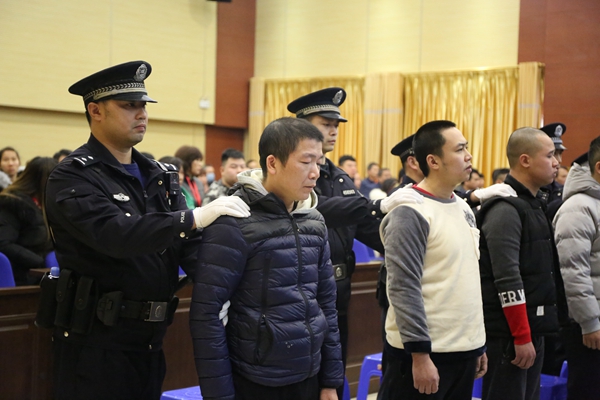 扫黑除恶专项斗争宜州莫淋栋等30人涉黑案一审宣判