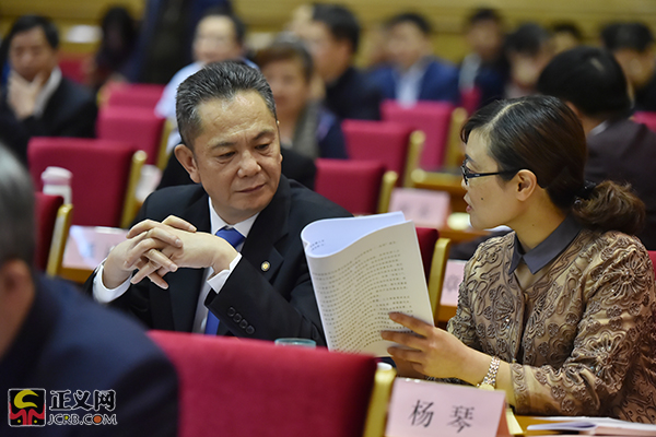 湖北代表团主动作为共抓长江大保护