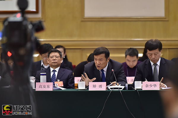 湖北代表团主动作为共抓长江大保护