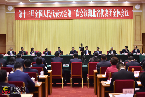 湖北代表团主动作为共抓长江大保护