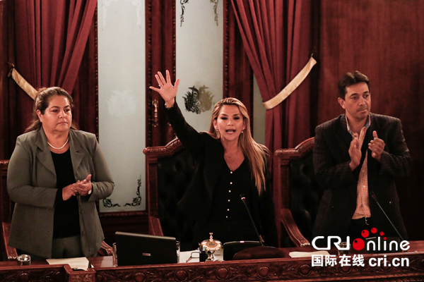 玻利维亚参议院第二副议长宣布担任临时总统 称将尽快举行大选休闲区蓝鸢梦想 - Www.slyday.coM 玻利维亚参议院第二副议长宣布担任临时总统 称将尽快举行大选休闲区蓝鸢梦想 - Www.slyday.coM