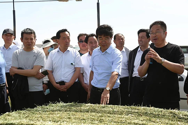 榆阳苜蓿产业发展大会召开