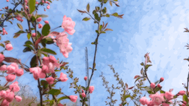 清明踏青赏花,不负最美春光~你还不赶紧晒一波美图?