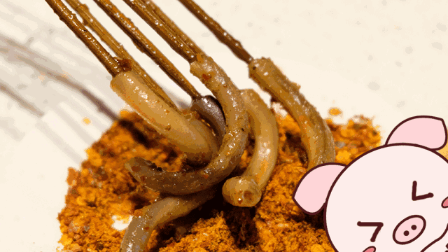 miniko探店上过央视舌尖3的乐山麻辣烫又到市中心来搞事情了