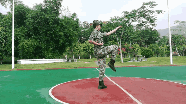 关注军体拳招式秘籍来了全是动图赶紧收藏