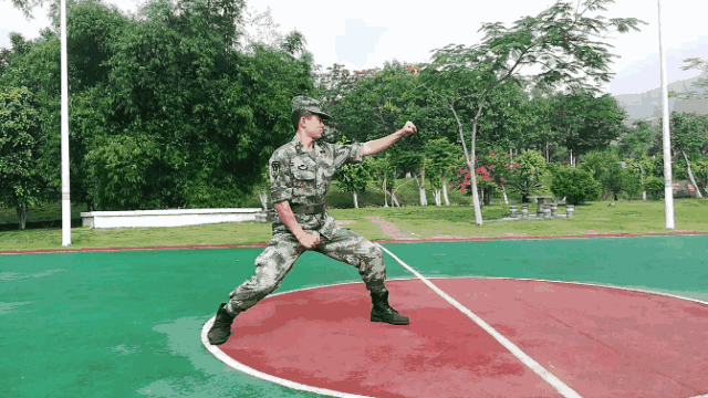 关注军体拳招式秘籍来了全是动图赶紧收藏