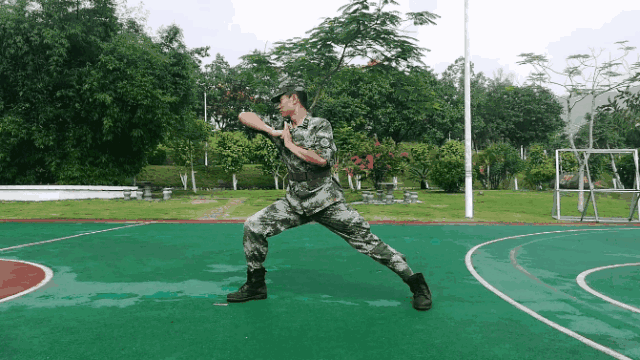 关注军体拳招式秘籍来了全是动图赶紧收藏