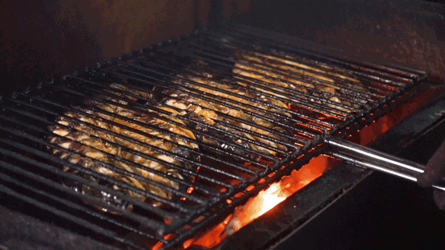 8折还送烤鱼送鱼火锅?