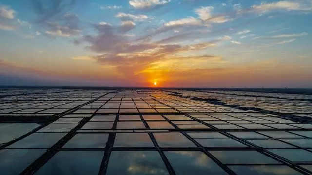 盐碱地的奇迹——寿光市羊口镇