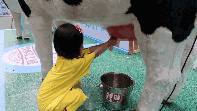 燕塘牛奶真心牛,居然敢在北京路闹事里放辣么多只可爱的奶牛,还可以