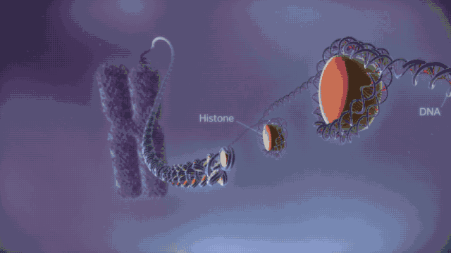 640_360gif 动态图 动图