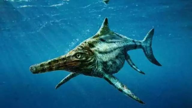 史前各种海洋怪兽,我是绝不会去游泳的.