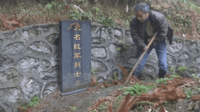  谢红军经常会为红军墓除草。秦浩摄