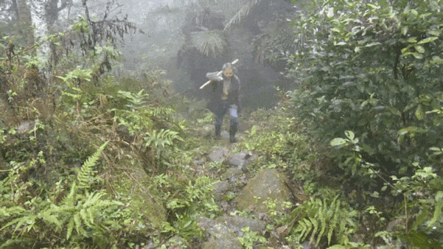 谢红军走在山路上。秦浩摄