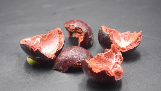 你家有吃剩的山竹壳吗?