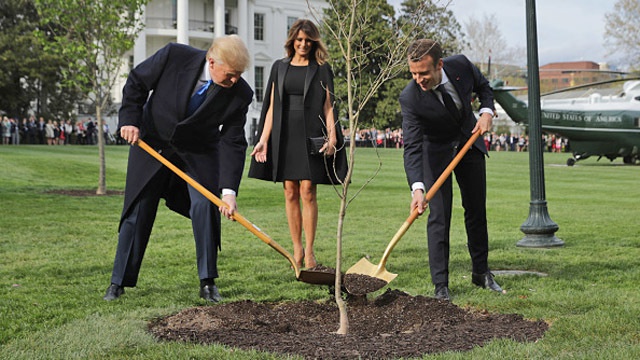 北约峰会前 特朗普炮轰马克龙“北约脑死亡”论